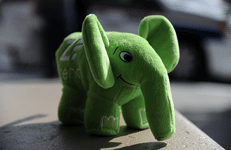 formation zend framework avancé - elephpant